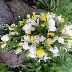 White and Gold Casket Spray from Sumner Florists Christchurch