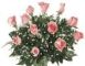 Christchurch roses pink