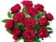 Christchurch roses