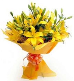 Yellow lillies