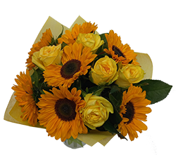 Mr. Sunshine: Sunflowers from the Christchurch Florist