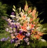 new zealand flowers from the florist
