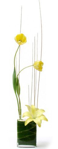 Florist in Christchurch