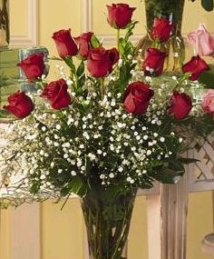 Red rose biz Florist